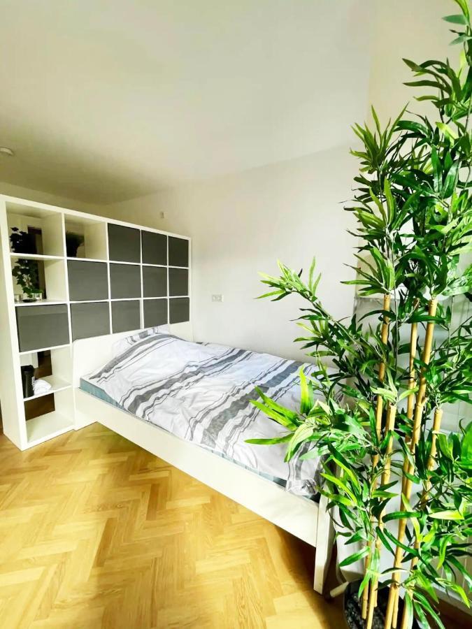 Cozy With Kitchen + Balcony New! Appartement *